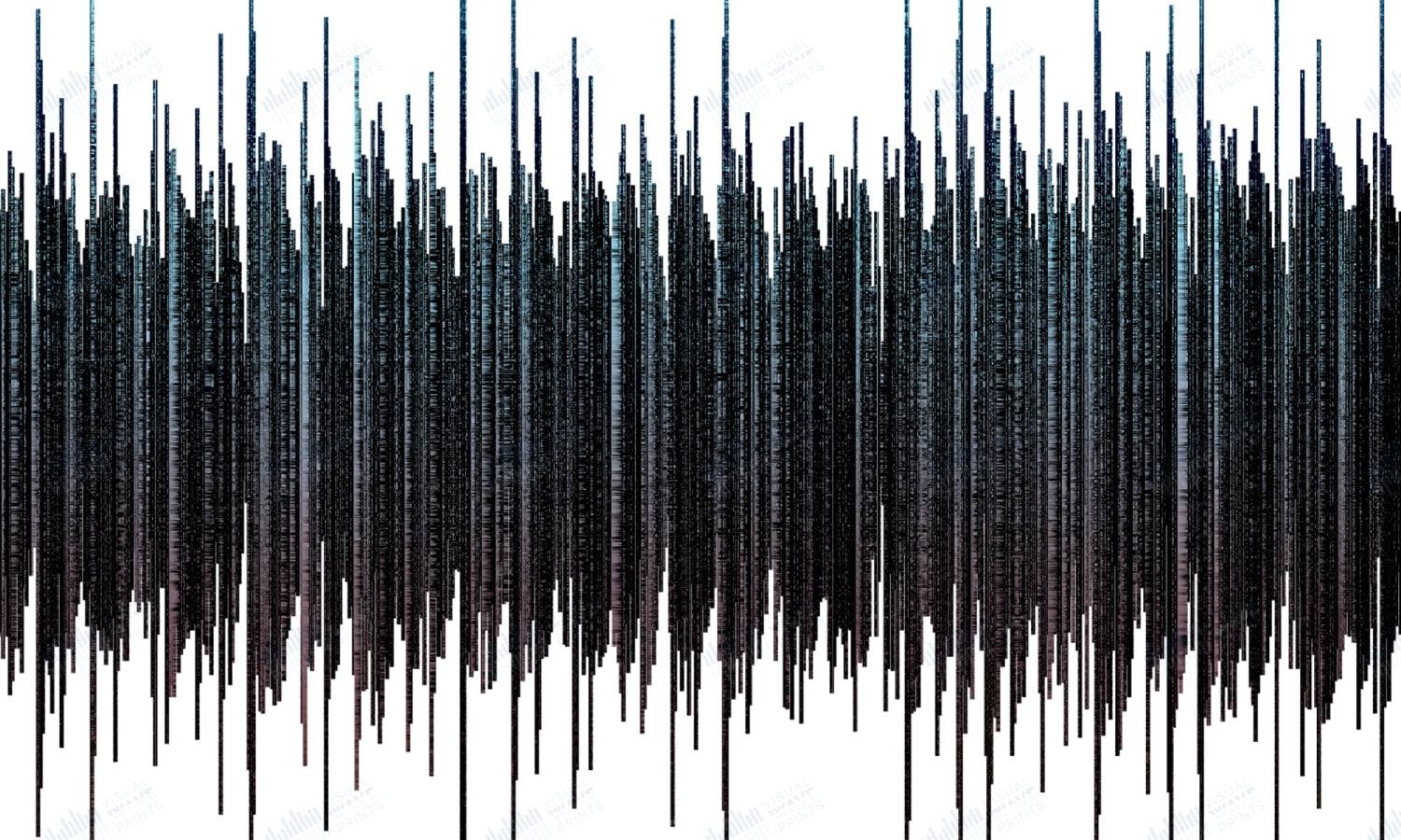99 Problems by Jay-Z - Visual Wave Prints