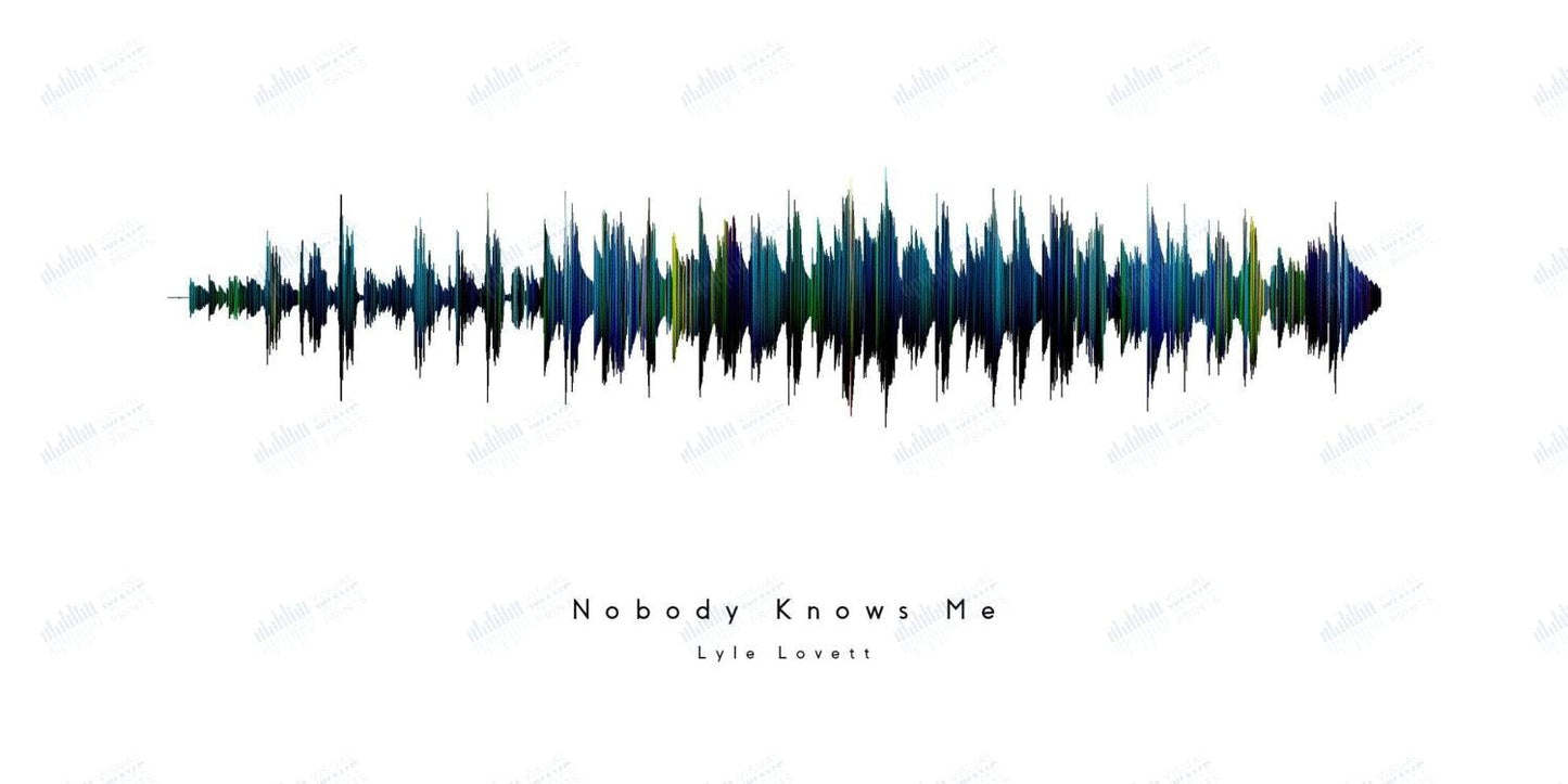 Nobody Knows Me by Lyle Lovett - Visual Wave Prints