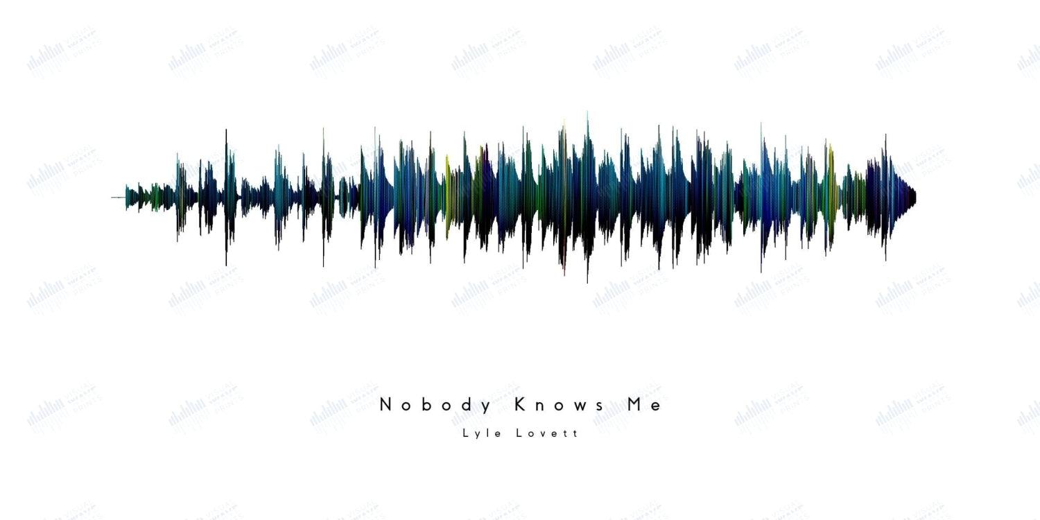 Nobody Knows Me by Lyle Lovett - Visual Wave Prints